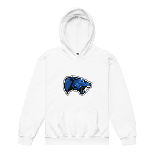 Classic | Youth Hoodie | Denmark Technical College