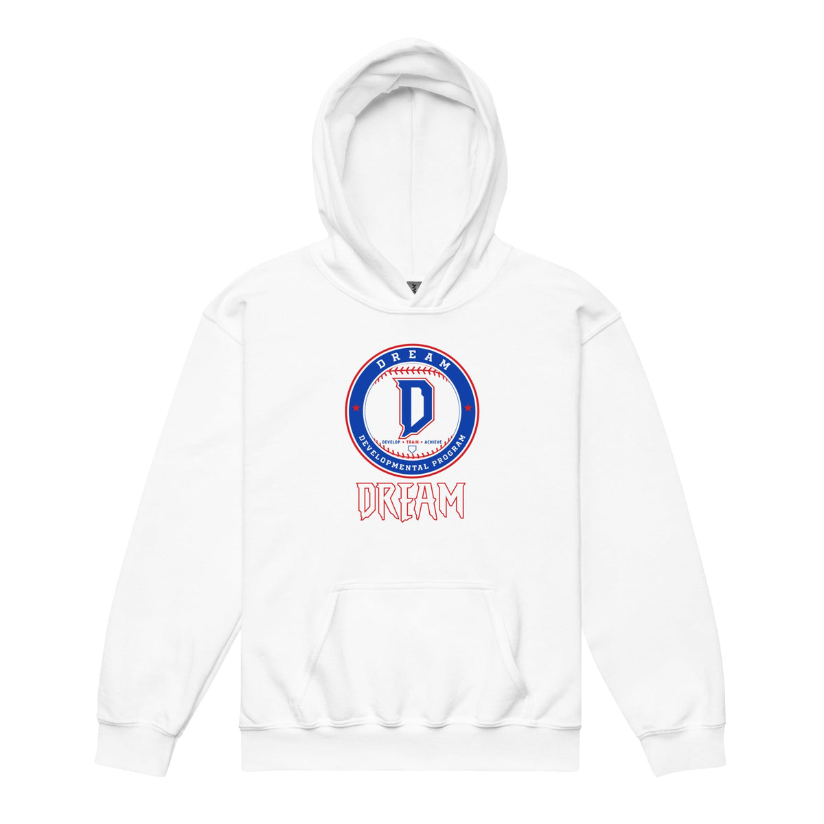 Classic | Youth Hoodie | Dream Developmental Program | Valor Logo