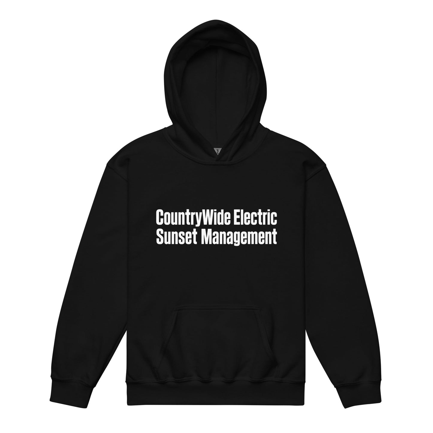 Classic | Youth Hoodie | FerDa Chicks | Modern Script Logo