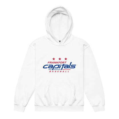 Classic | Youth Hoodie | FFYSA | Frankfort Vanguard Logo