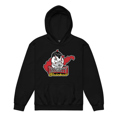 Classic | Youth Hoodie | Insanity Baseball