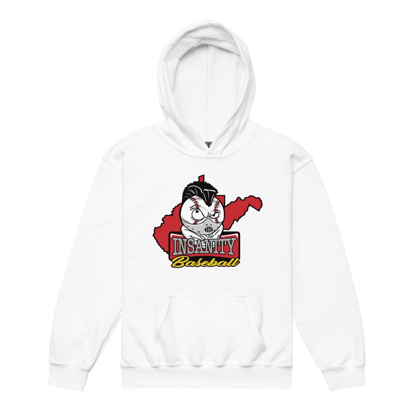 Classic | Youth Hoodie | Insanity Baseball