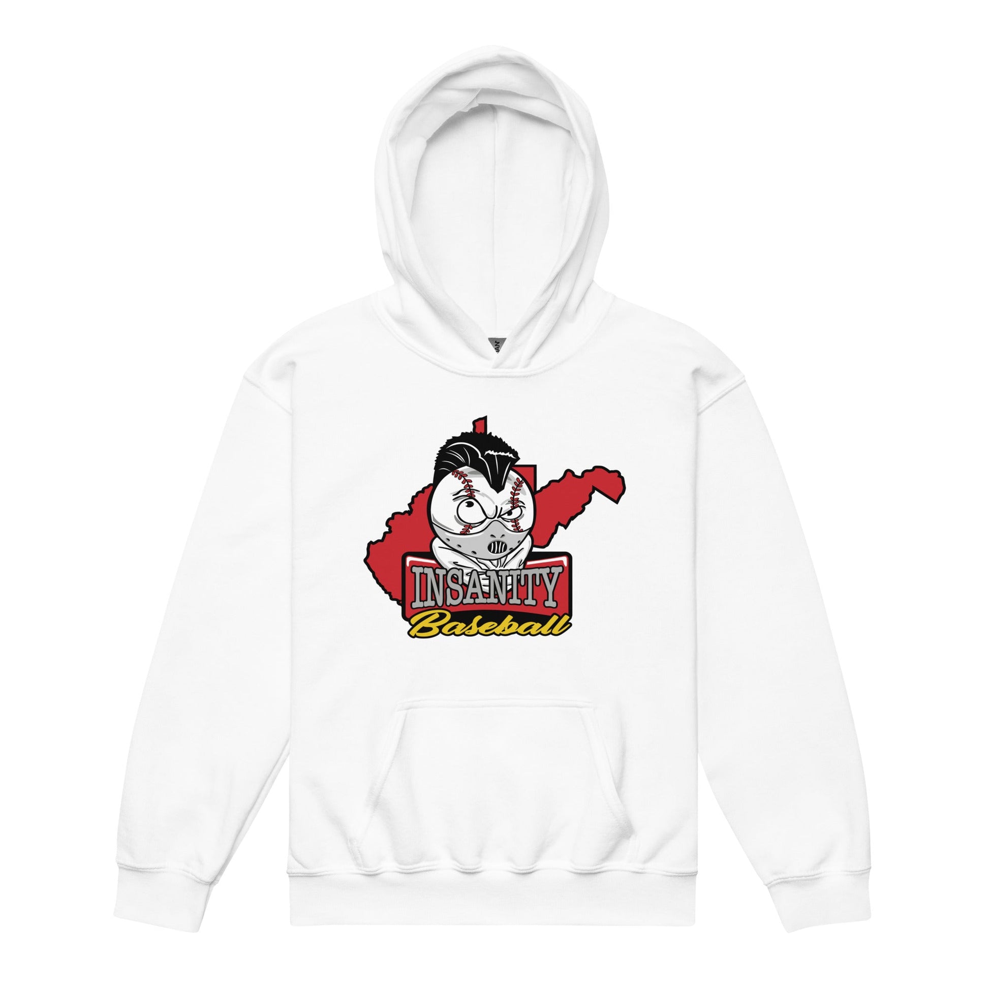 Classic | Youth Hoodie | Insanity Baseball