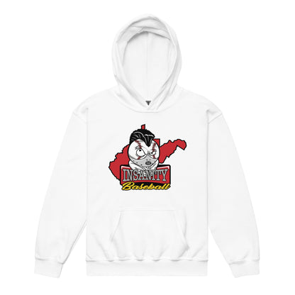 Classic | Youth Hoodie | Insanity Baseball