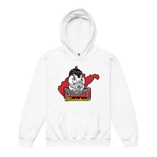 Classic | Youth Hoodie | Insanity Baseball