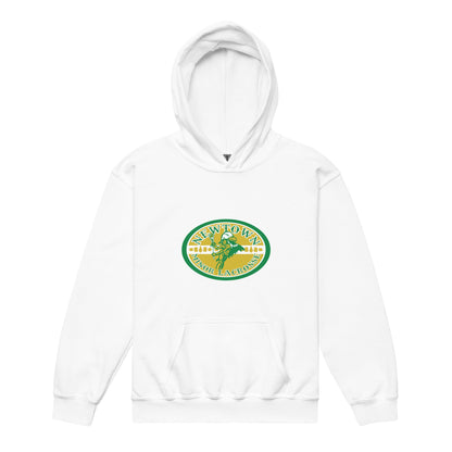 Classic | Youth Hoodie | Newtown Minor Lacrosse | Emblem Logo