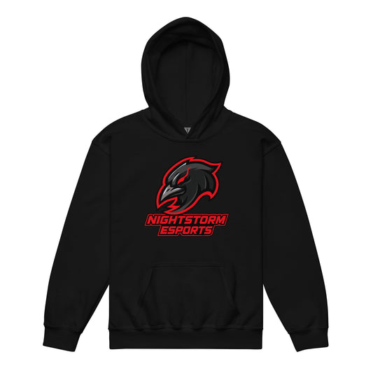 Classic | Youth Hoodie | NightStorm Esports | Crest Logo