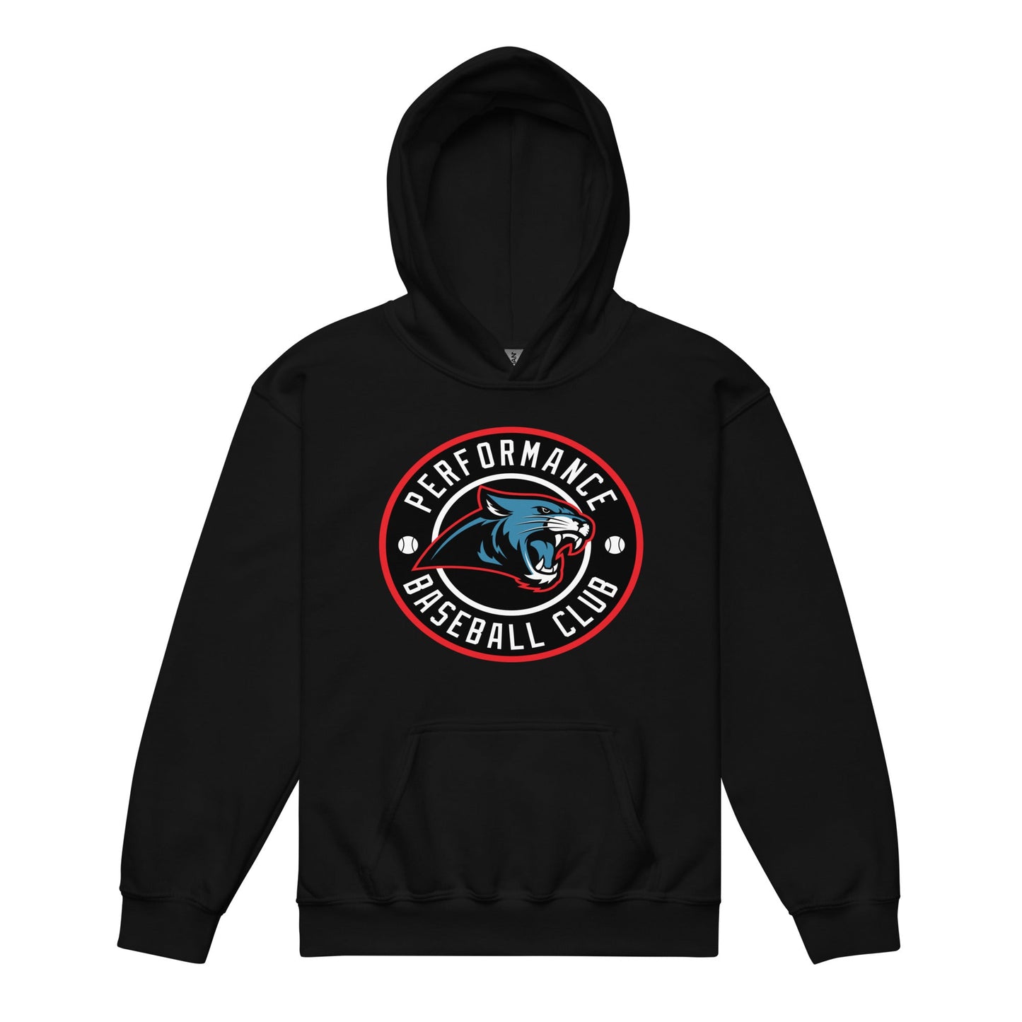 Classic | Youth Hoodie | Performance Baseball Club