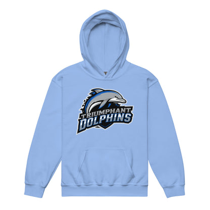 Classic | Youth Hoodie | SE Triumphant Dolphins | Dolphins Mascot Logo