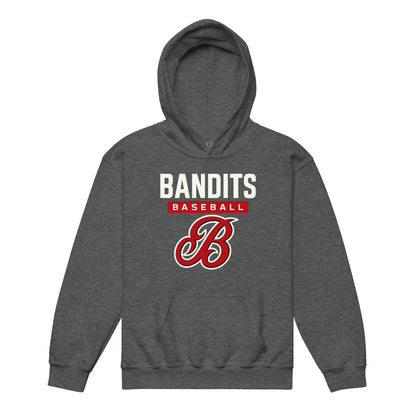 Classic | Youth Hoodie | Tri - City Baseball | Varsity Script Logo