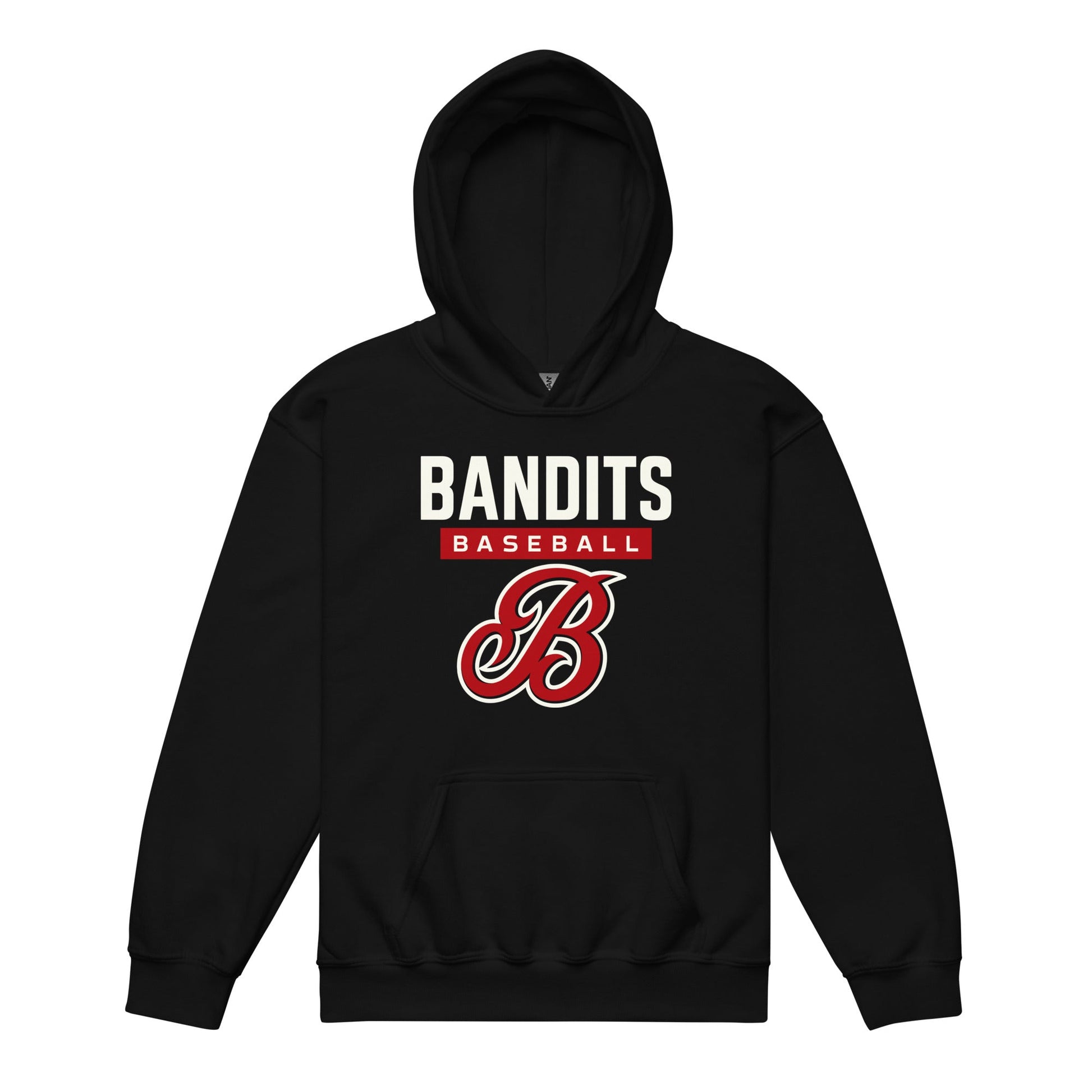 Classic | Youth Hoodie | Tri - City Baseball | Varsity Script Logo