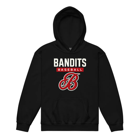 Classic | Youth Hoodie | Tri - City Baseball | Varsity Script Logo