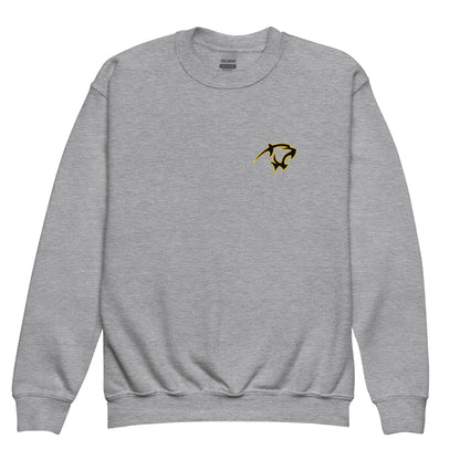 Classic | Youth Sweatshirt | Adelphi Womens Soccer | Mascot Logo
