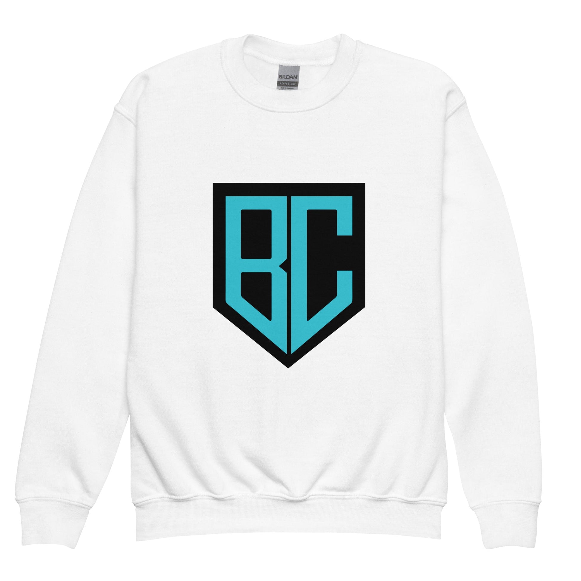 Classic | Youth Sweatshirt | Blue Collar Softball 2034 | Crest Logo