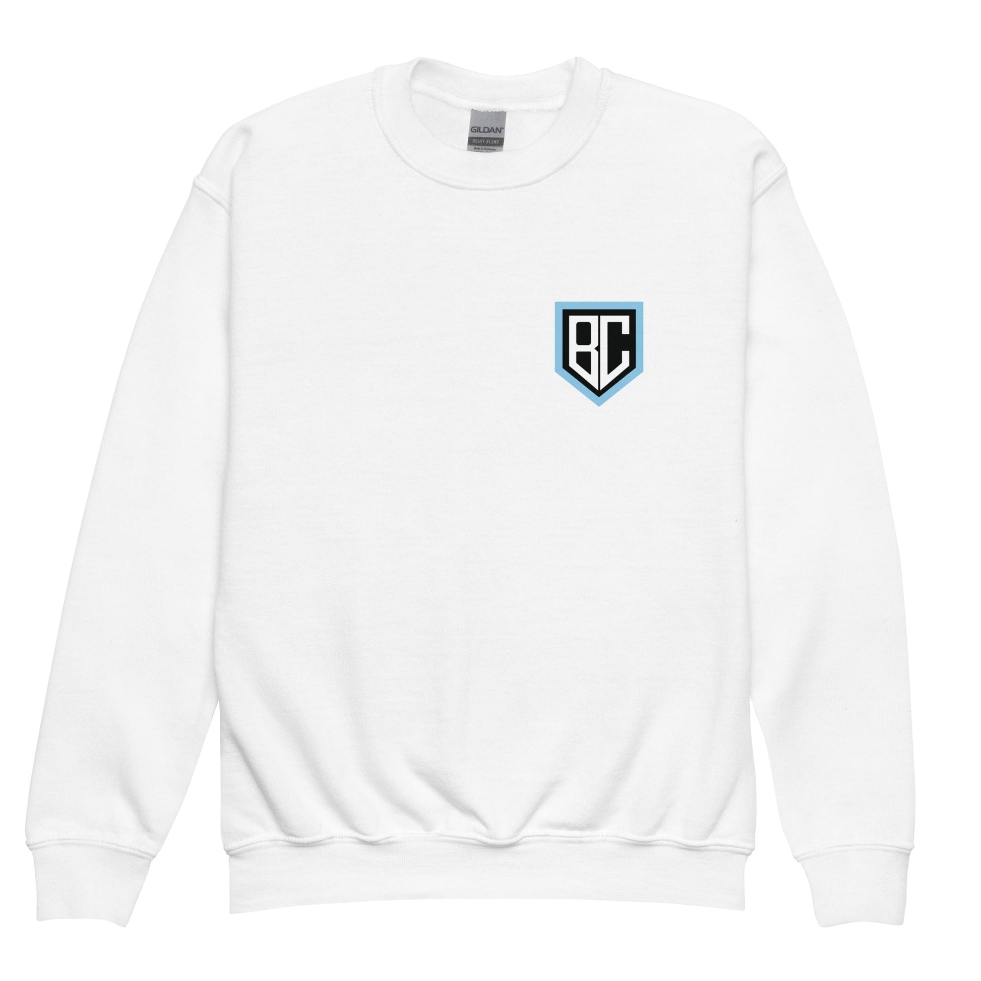 Classic | Youth Sweatshirt | Blue Collar Softball 2034 | Emblem Logo