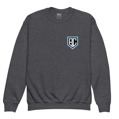 Classic | Youth Sweatshirt | Blue Collar Softball 2034 | Emblem Logo