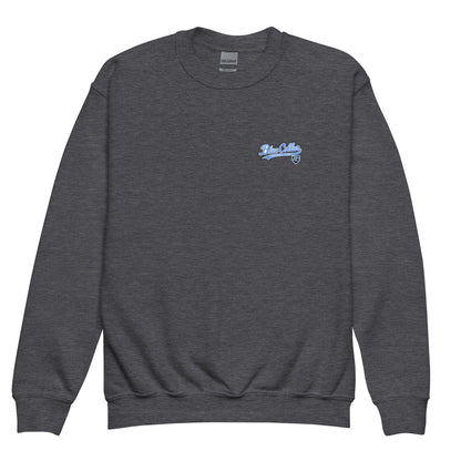 Classic | Youth Sweatshirt | Blue Collar Softball 2034 | Ironclad Logo