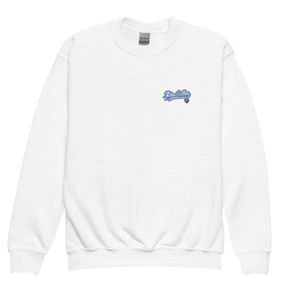 Classic | Youth Sweatshirt | Blue Collar Softball 2034 | Ironclad Logo