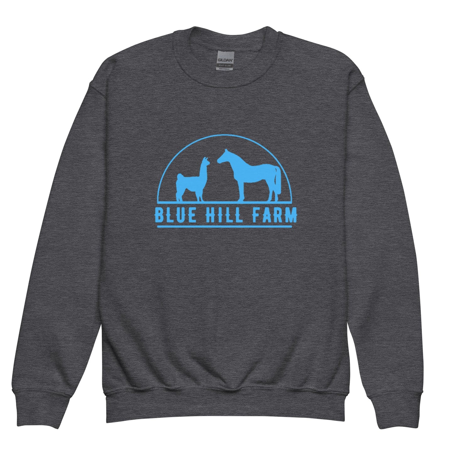 Classic | Youth Sweatshirt | Blue Hill Farm | Emblem Logo