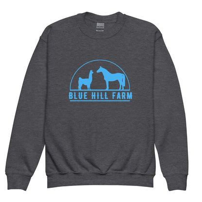 Classic | Youth Sweatshirt | Blue Hill Farm | Emblem Logo