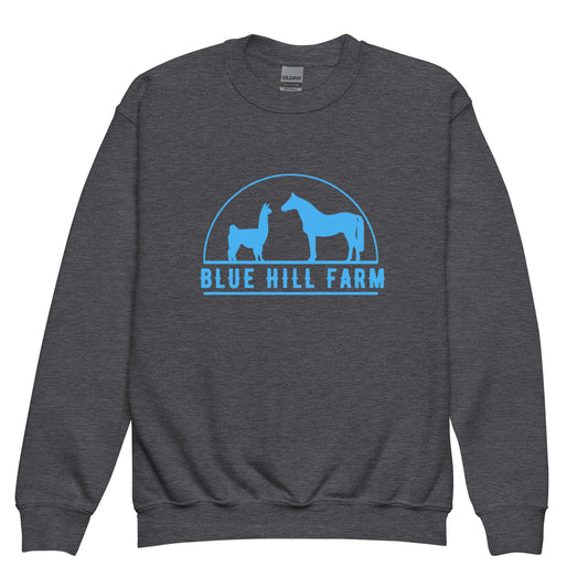 Classic | Youth Sweatshirt | Blue Hill Farm | Emblem Logo