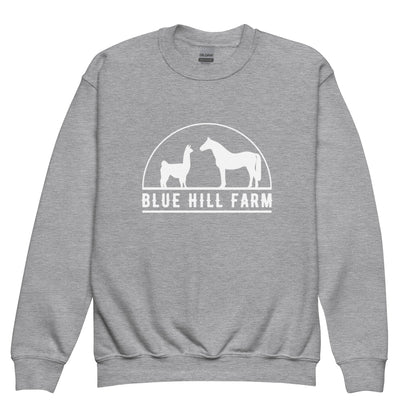 Classic | Youth Sweatshirt | Blue Hill Farm | Ranch Logo