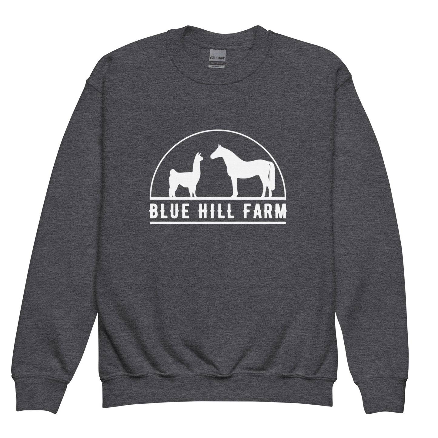 Classic | Youth Sweatshirt | Blue Hill Farm | Ranch Logo