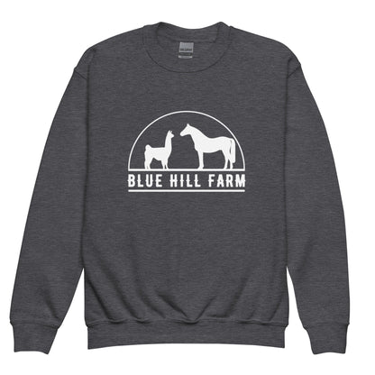 Classic | Youth Sweatshirt | Blue Hill Farm | Ranch Logo
