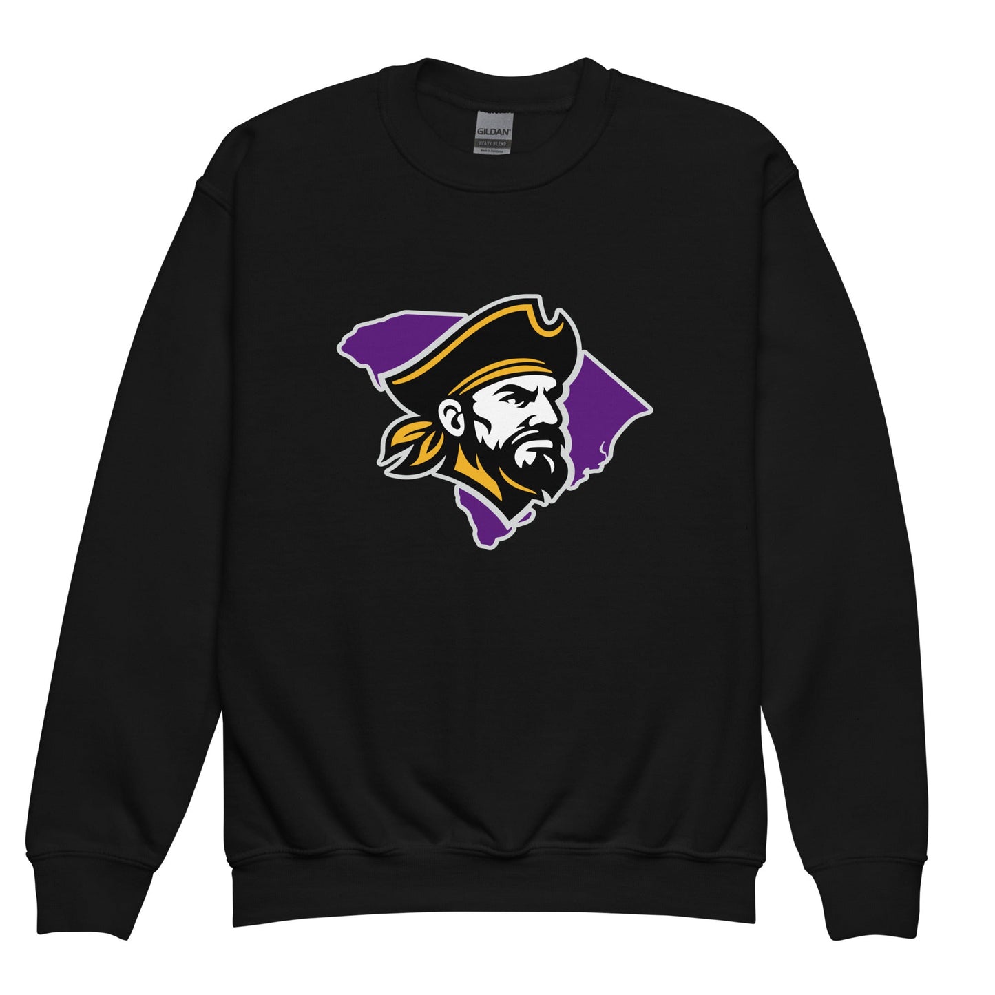 Classic | Youth Sweatshirt | Carolina Pirates