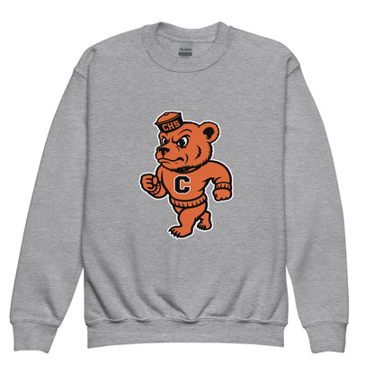 Classic | Youth Sweatshirt | Catholic High School | Bear Logo