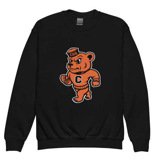 Classic | Youth Sweatshirt | Catholic High School | Bear Logo