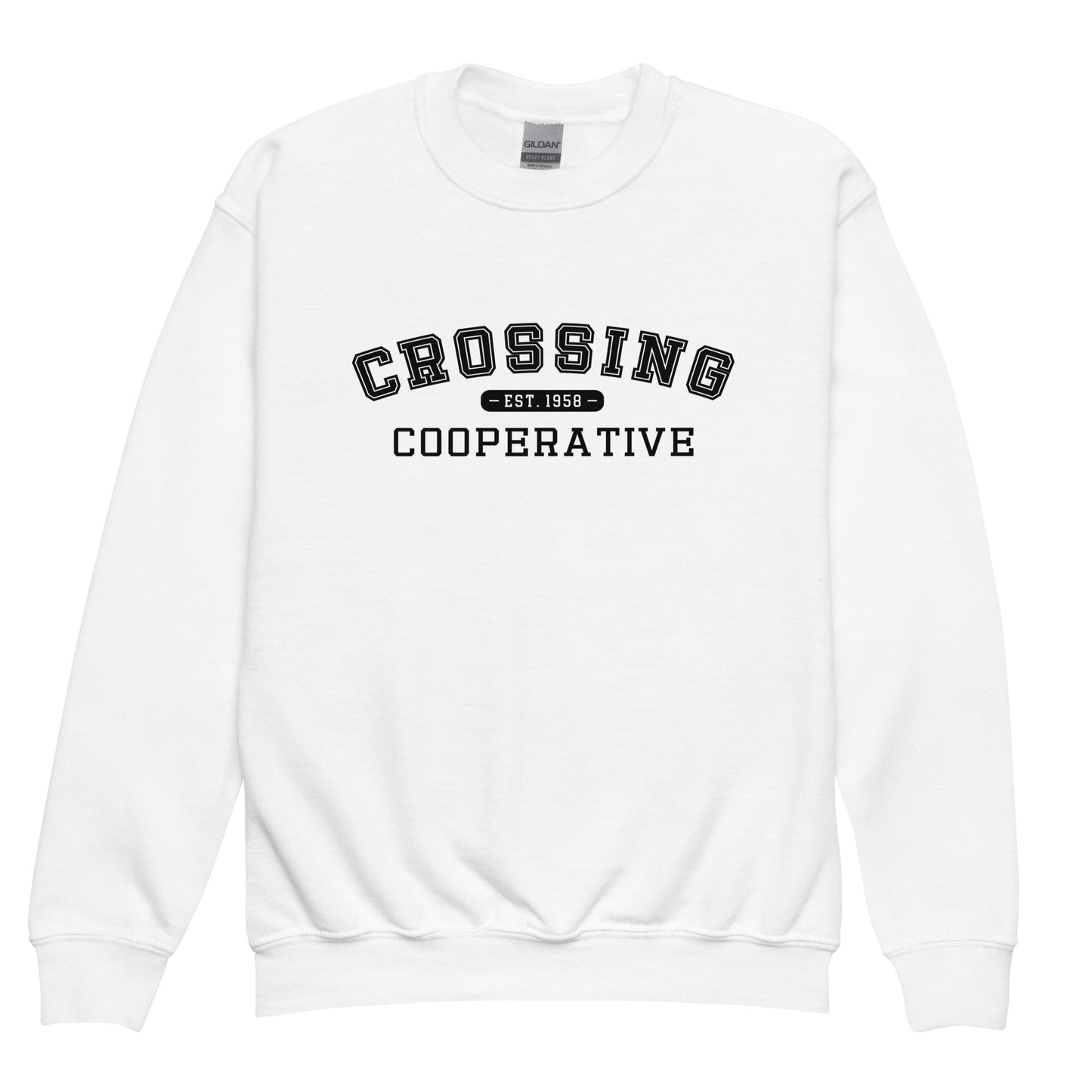 Classic | Youth Sweatshirt | CCNS | Collegiate Logo