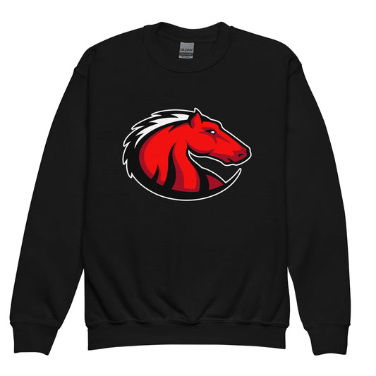 Classic | Youth Sweatshirt | Central Maine Community College Woman’s Soccer | Crest Logo