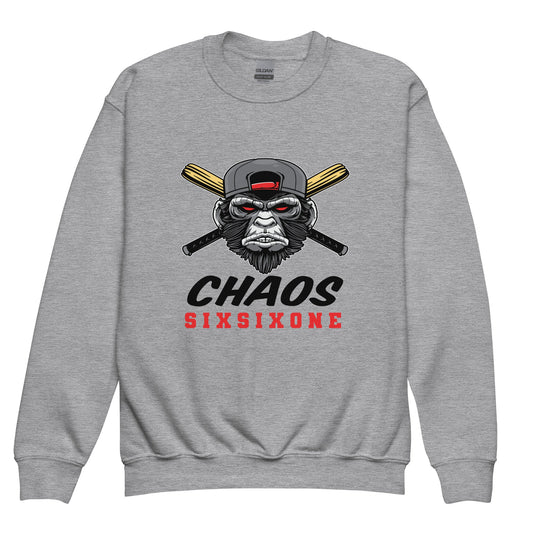 Classic | Youth Sweatshirt | CHAOS 661 7u | SixSixOne Logo