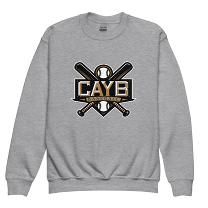 Classic | Youth Sweatshirt | Conroe Area Youth Baseball