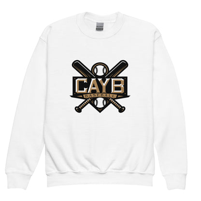Classic | Youth Sweatshirt | Conroe Area Youth Baseball