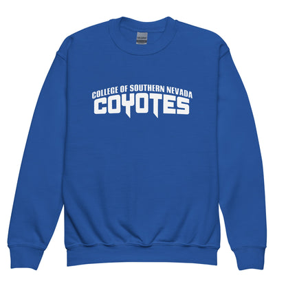 Classic | Youth Sweatshirt | CSN Volleyball | Alt Script Logo