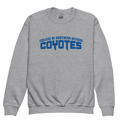 Classic | Youth Sweatshirt | CSN Volleyball | Script Logo
