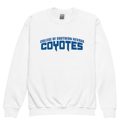 Classic | Youth Sweatshirt | CSN Volleyball | Script Logo