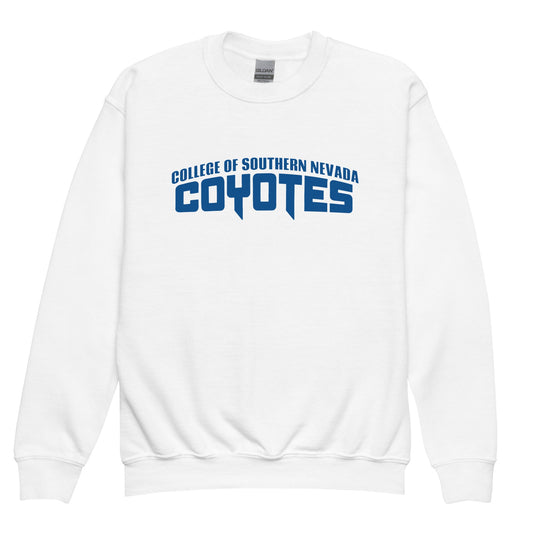 Classic | Youth Sweatshirt | CSN Volleyball | Script Logo