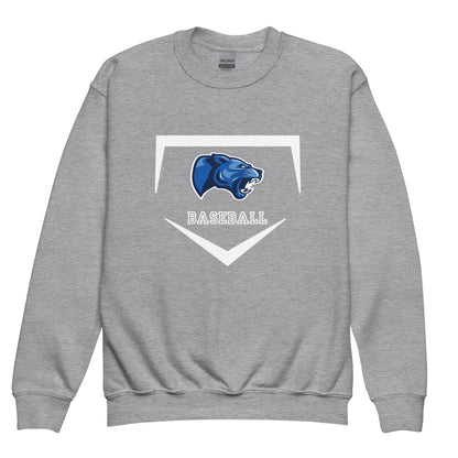Classic | Youth Sweatshirt | Denmark Technical College | Baseball Logo