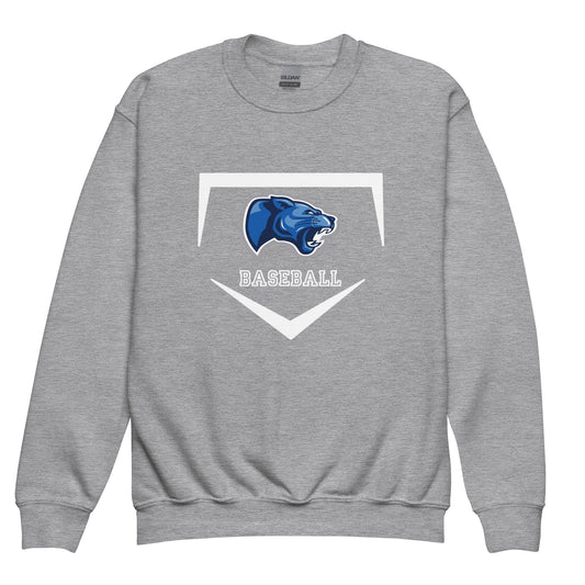 Classic | Youth Sweatshirt | Denmark Technical College | Baseball Logo