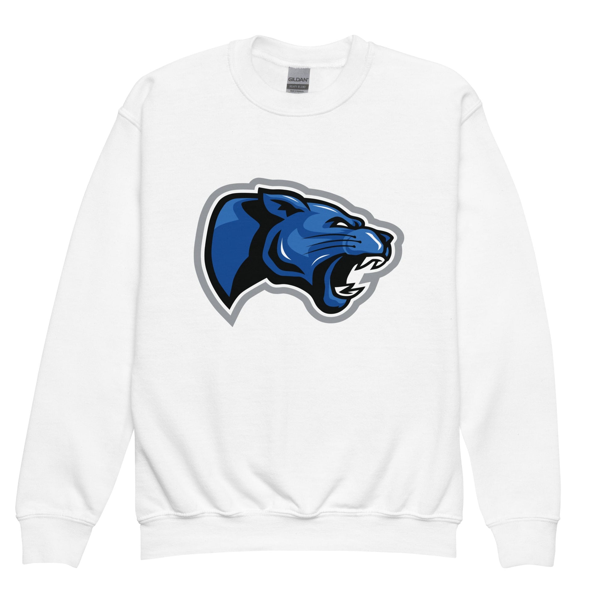 Classic | Youth Sweatshirt | Denmark Technical College