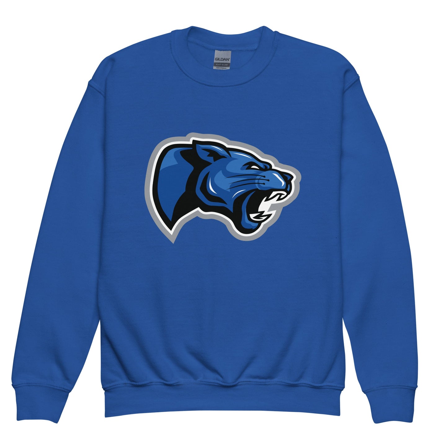 Classic | Youth Sweatshirt | Denmark Technical College