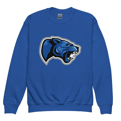 Classic | Youth Sweatshirt | Denmark Technical College