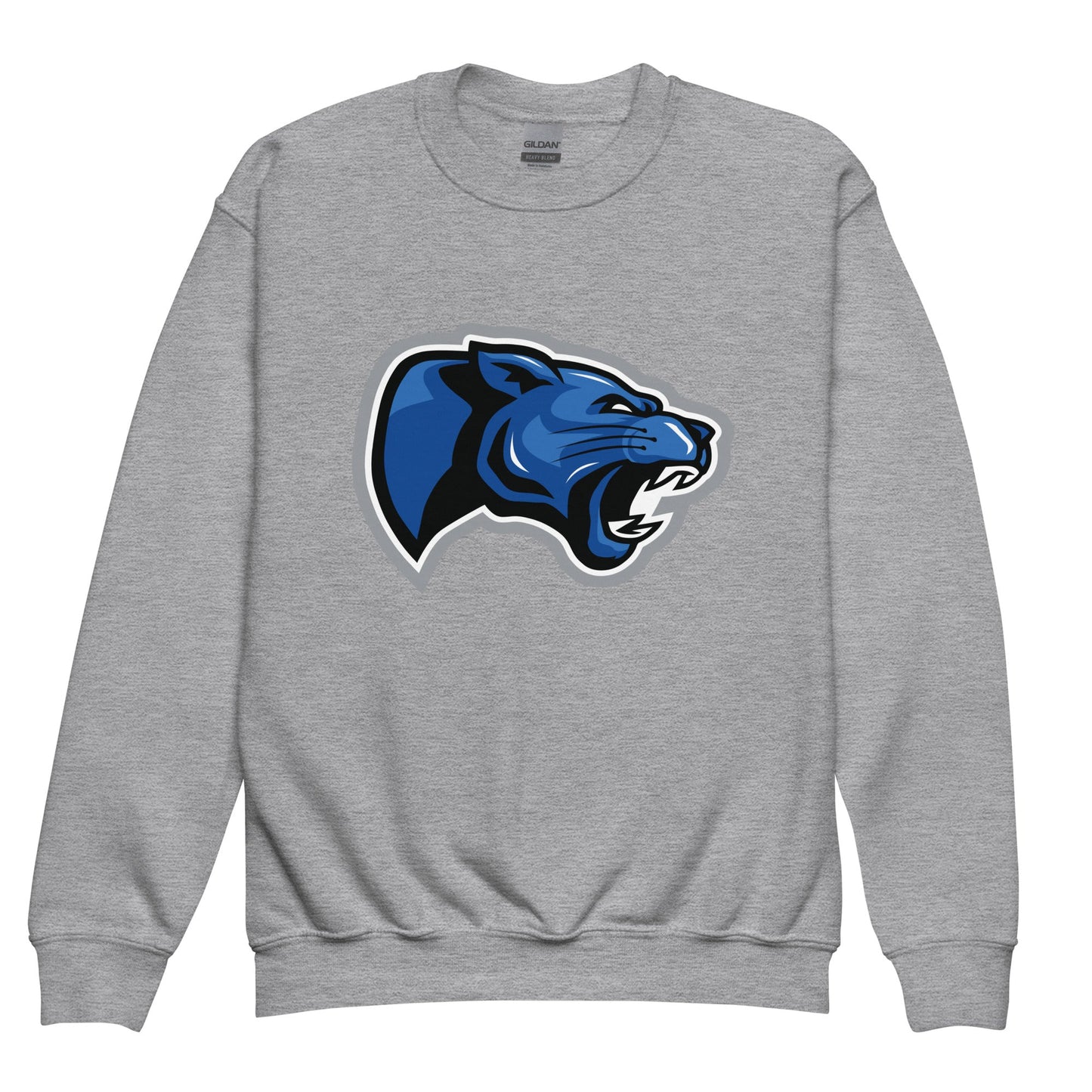 Classic | Youth Sweatshirt | Denmark Technical College