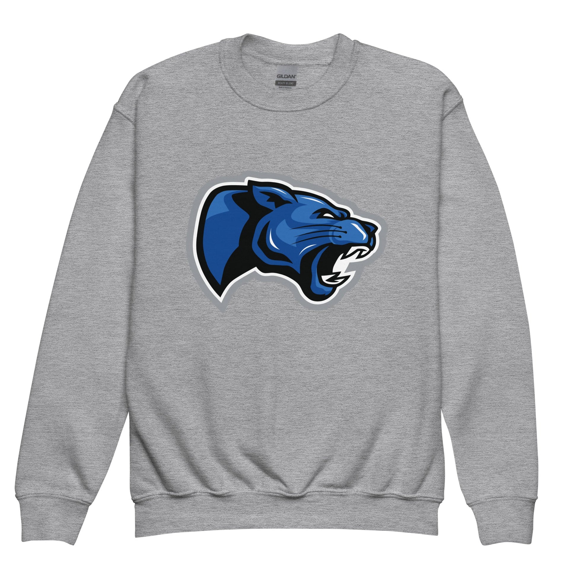 Classic | Youth Sweatshirt | Denmark Technical College