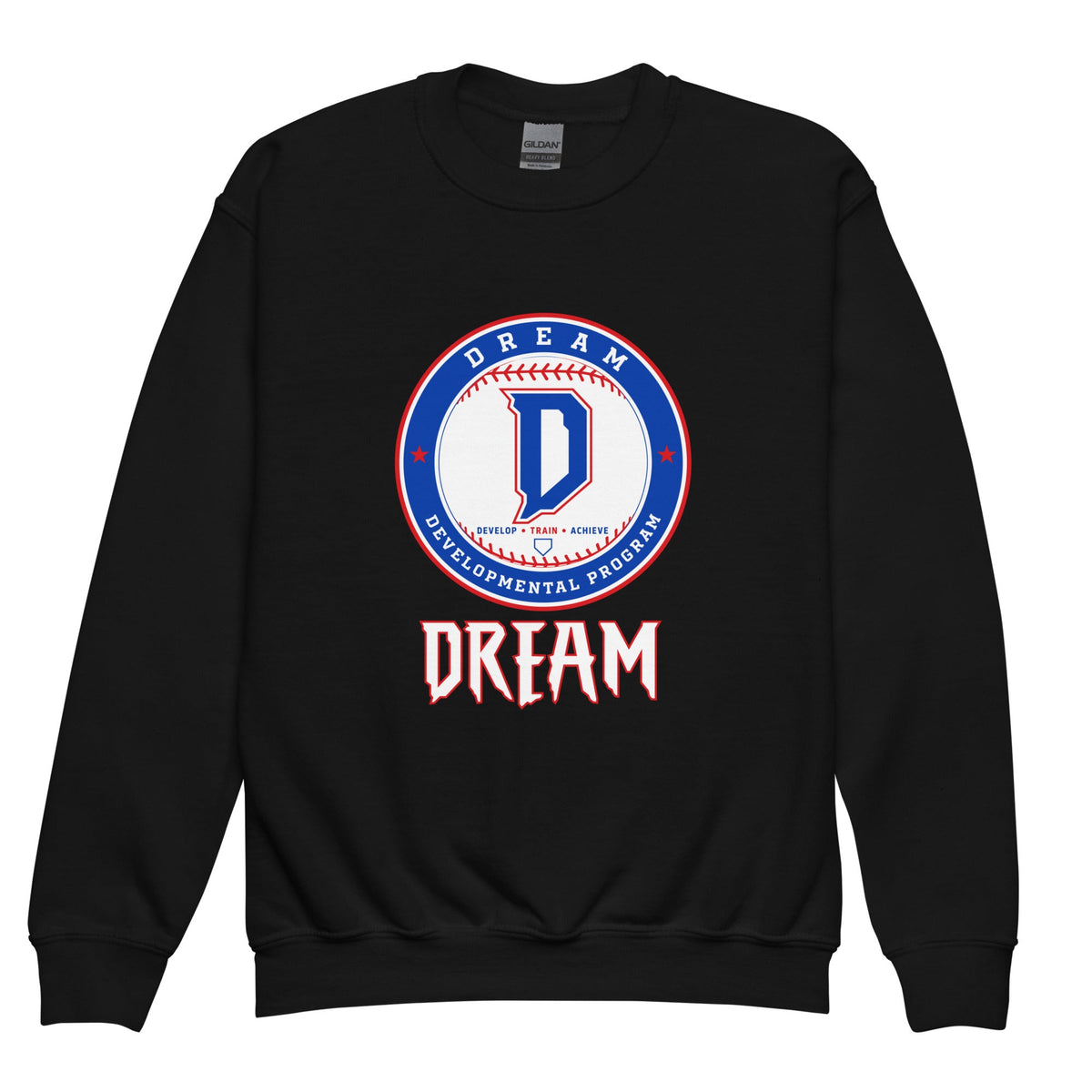 Classic | Youth Sweatshirt | Dream Developmental Program | Valor Logo