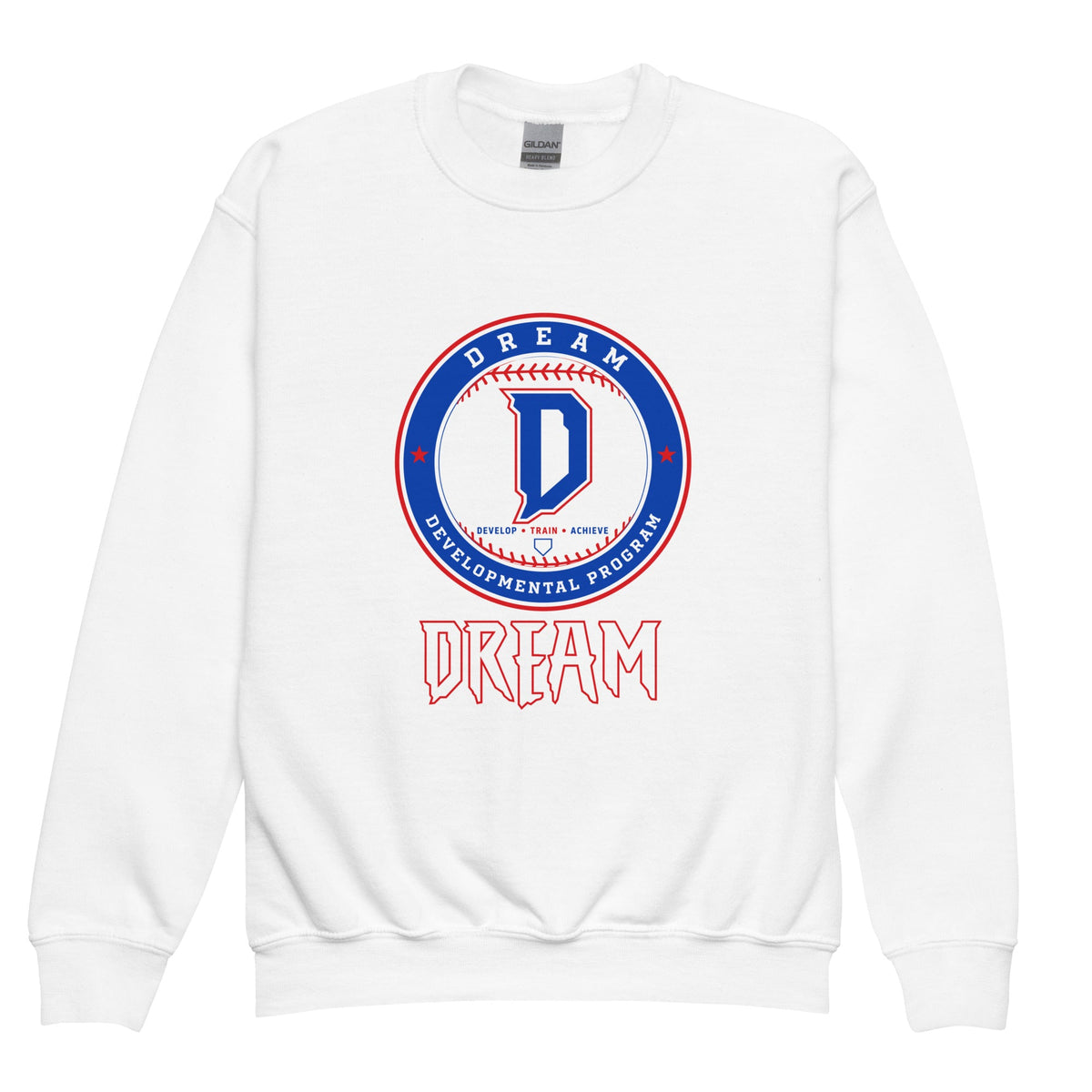 Classic | Youth Sweatshirt | Dream Developmental Program | Valor Logo