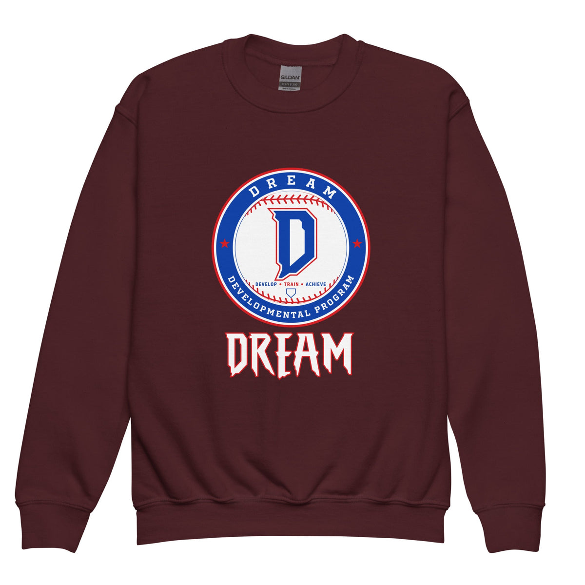 Classic | Youth Sweatshirt | Dream Developmental Program | Valor Logo